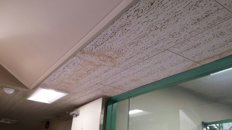 雨漏りを放置したらどうなる？