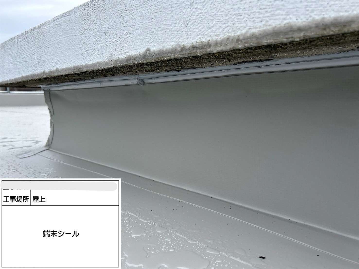 吹田市 会社ビル屋上塩ビシート防水工事 工事写真
