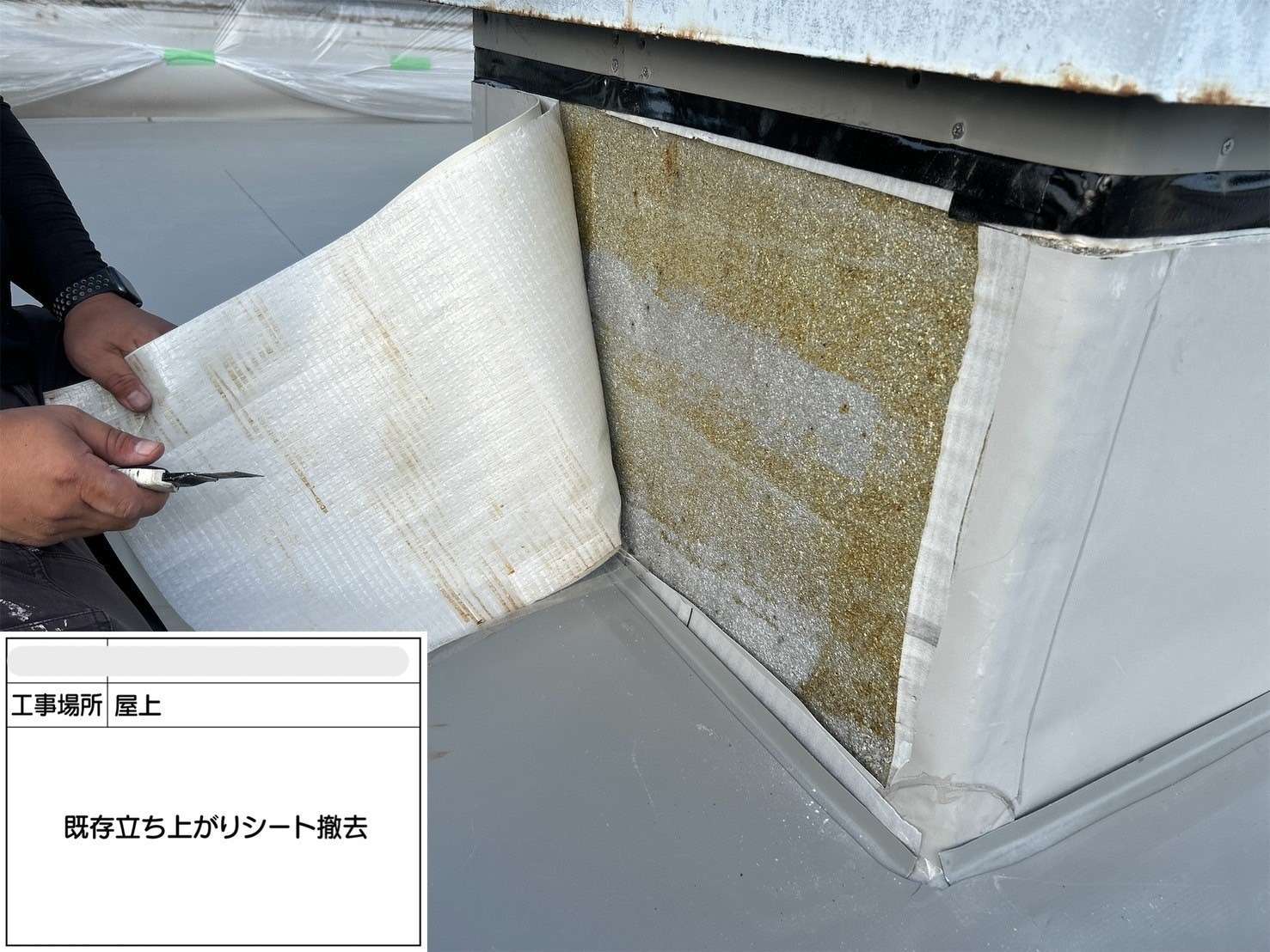 吹田市 会社ビル屋上塩ビシート防水工事 工事写真