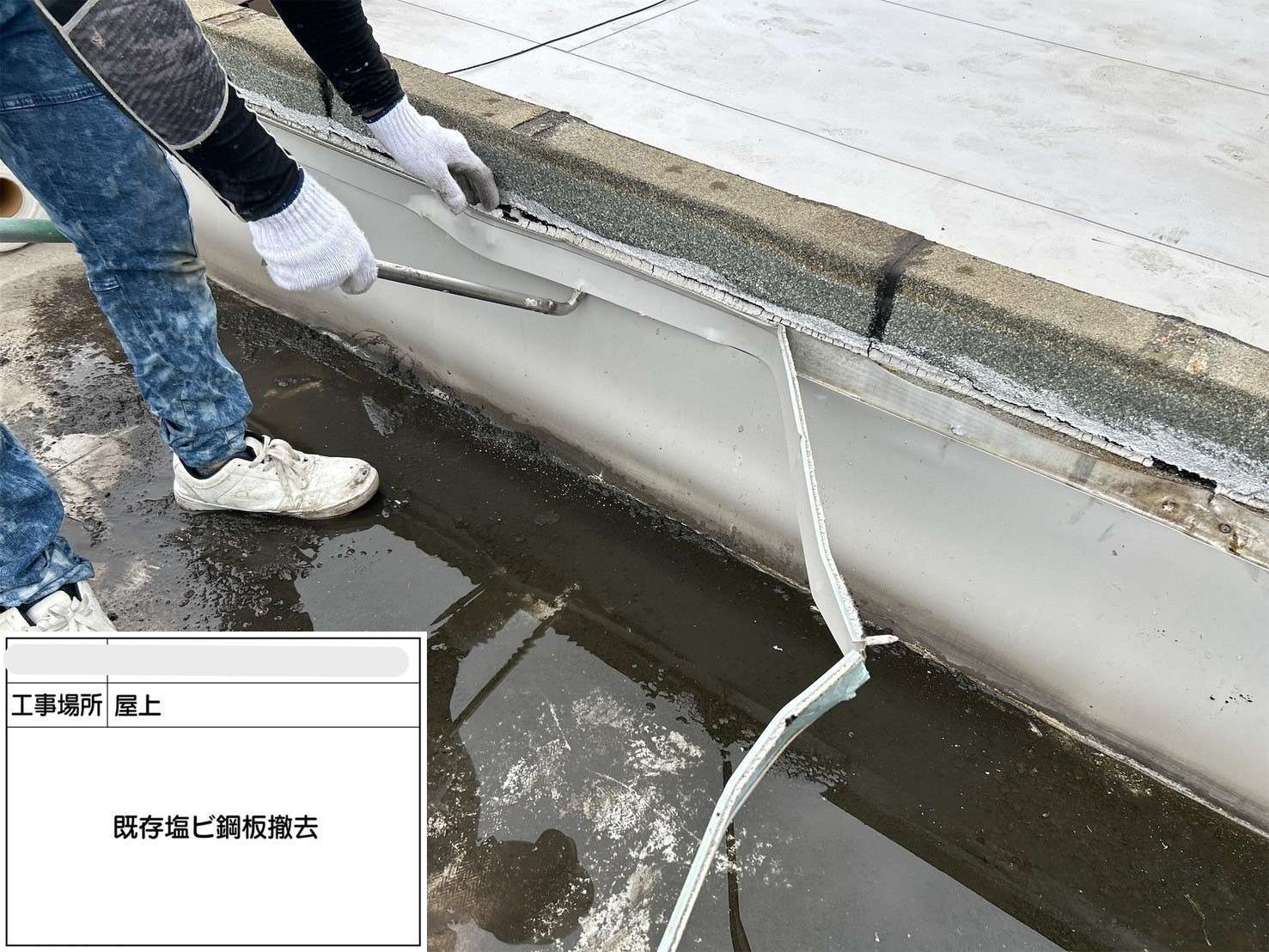 吹田市 会社ビル屋上塩ビシート防水工事 工事写真