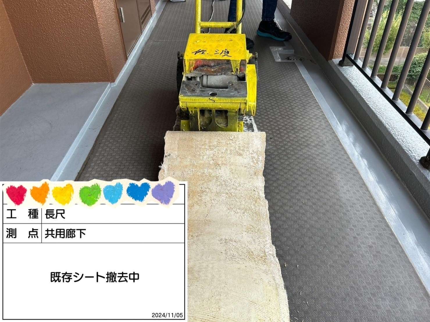 &nbsp;